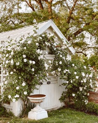 Favorite Things Friday