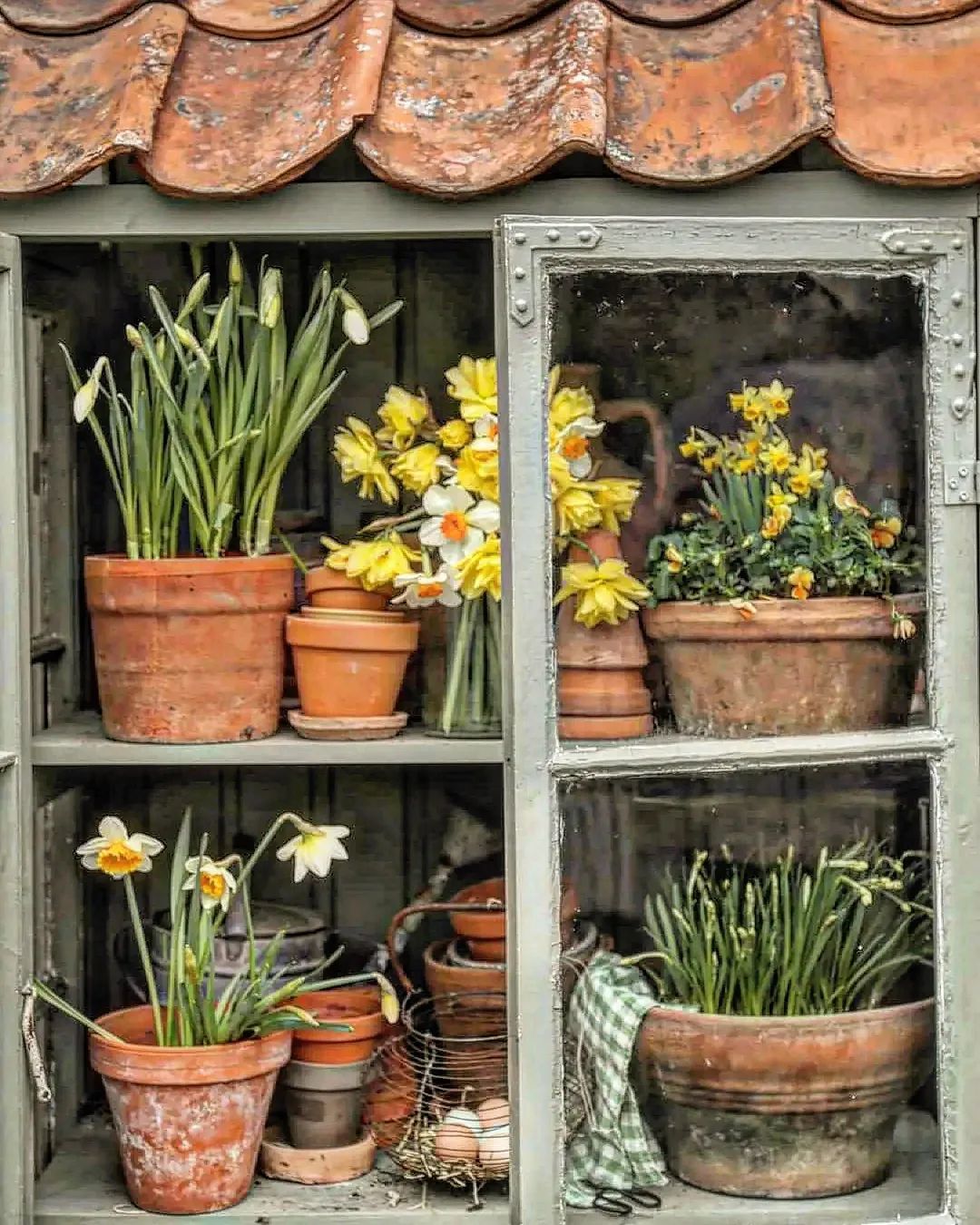 5 Spring Floral Scroll Stoppers You’ll Want to Follow