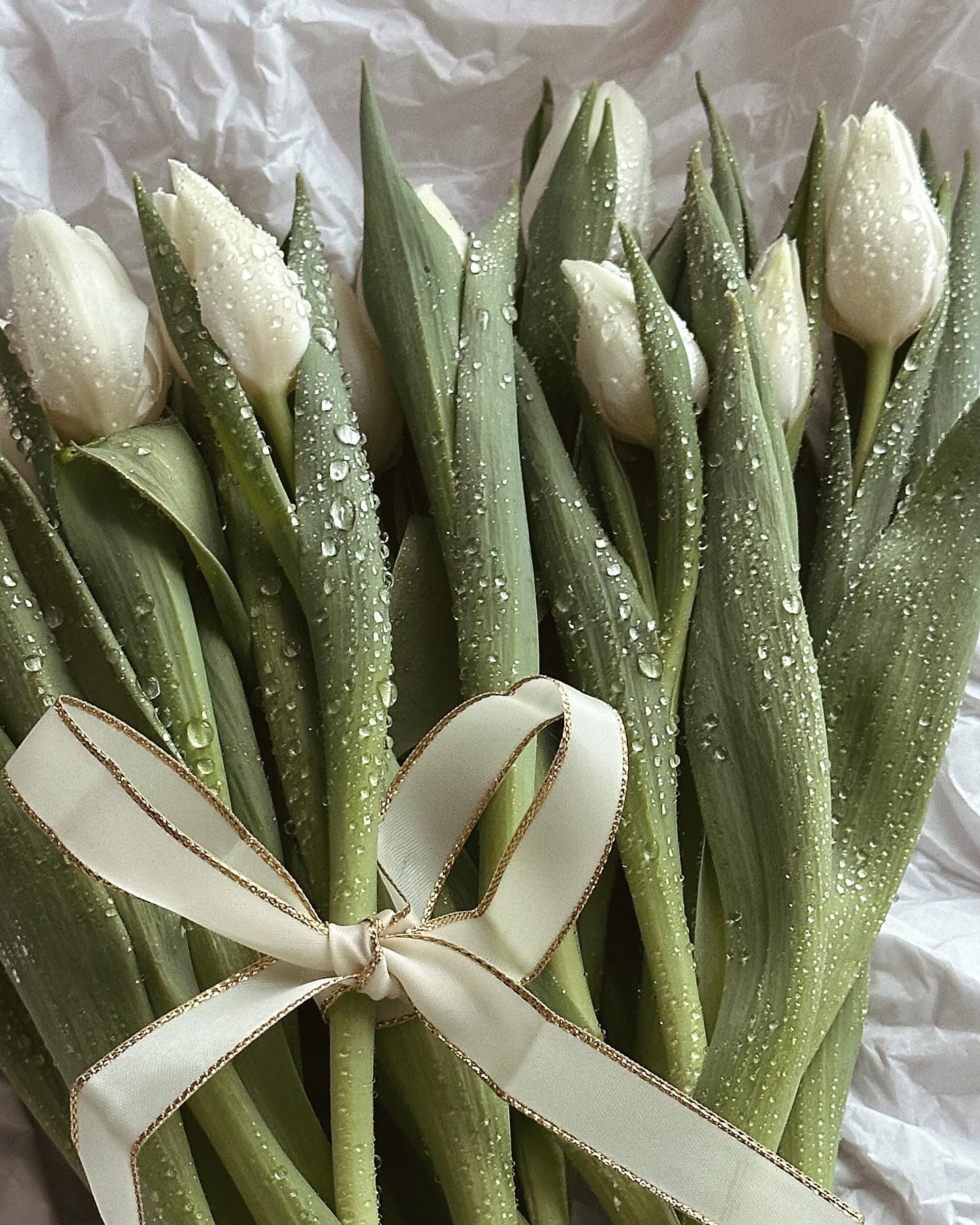 Good evening With a small tribute to the tulip, I wish you a lovely Friday…
