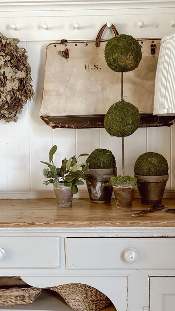 Liz Marie – Cozy Cottage Style on Instagram: “Who doesn’t love a good spring d…