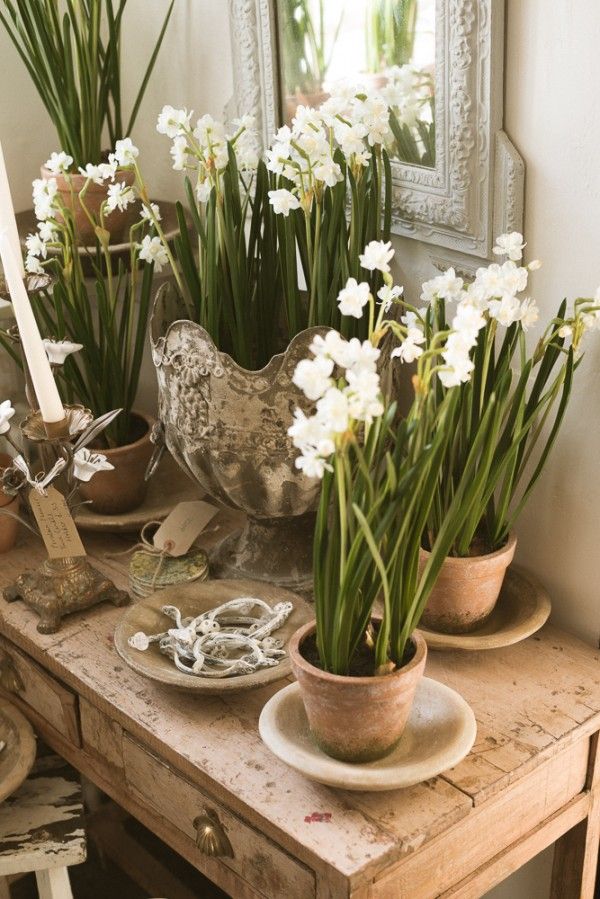 Yay spring………………..   – The deVOL Journal