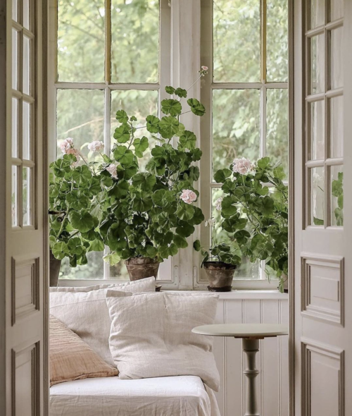 Apple of My Eye: Old & New Serveware — Lyke Minded