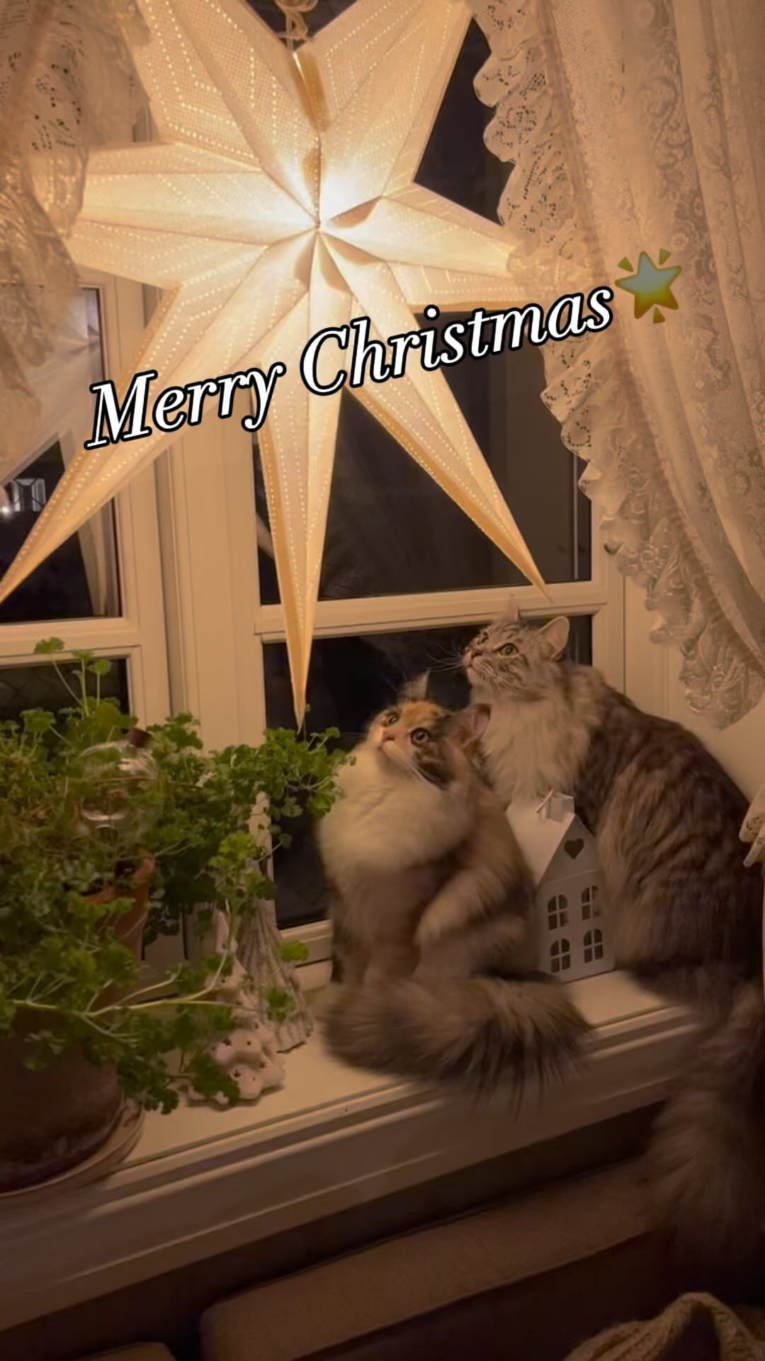 From all of us to all of you; Merry Christmas…
