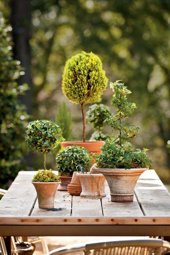 38 Front Door Container Garden Ideas For An Eye-Catching Entryway