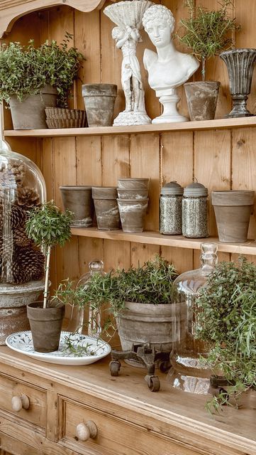 Liz Marie – Cozy Cottage Style on Instagram: “Welcome to my world… 🫶🏼…