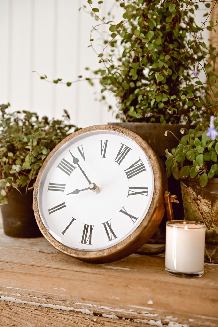 LizMarieBlog’s My QVC Line Collection on LTK