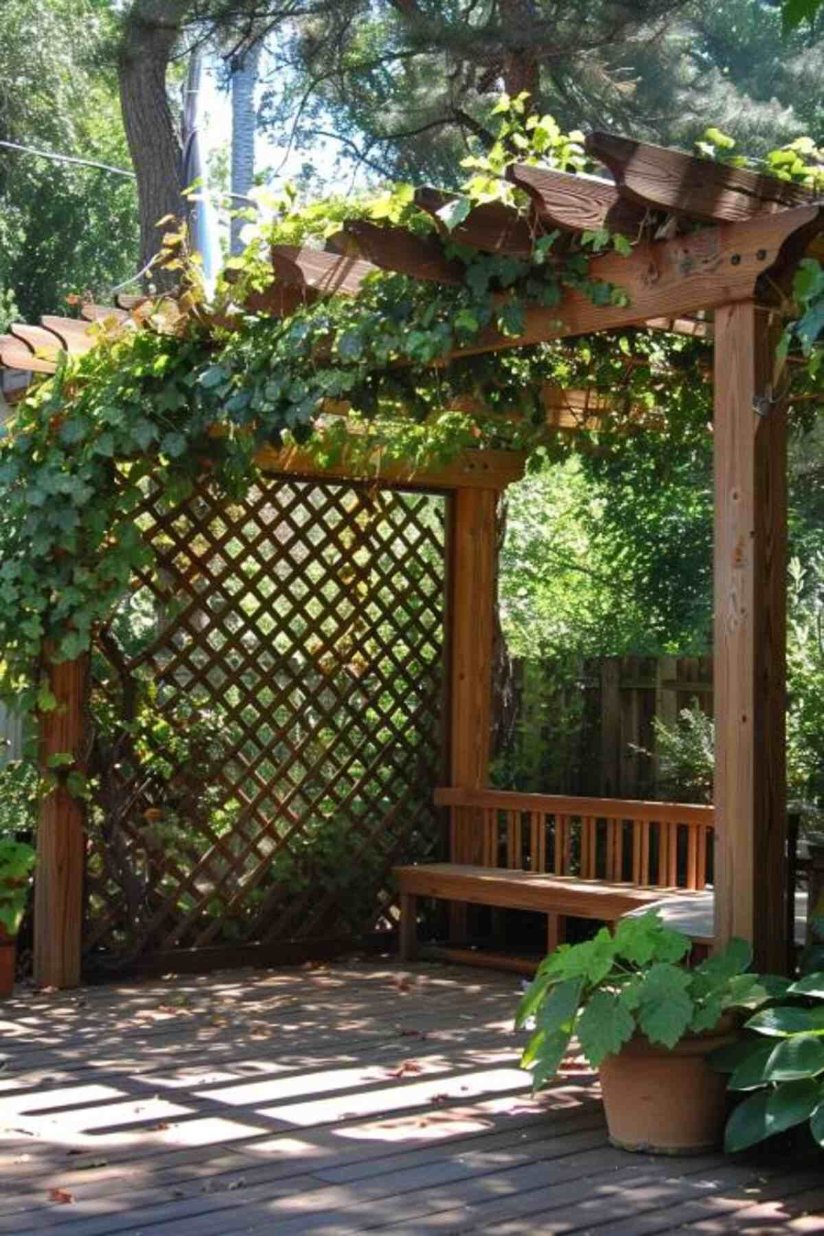 40 Unique Privacy Fence Designs for Your Backyard