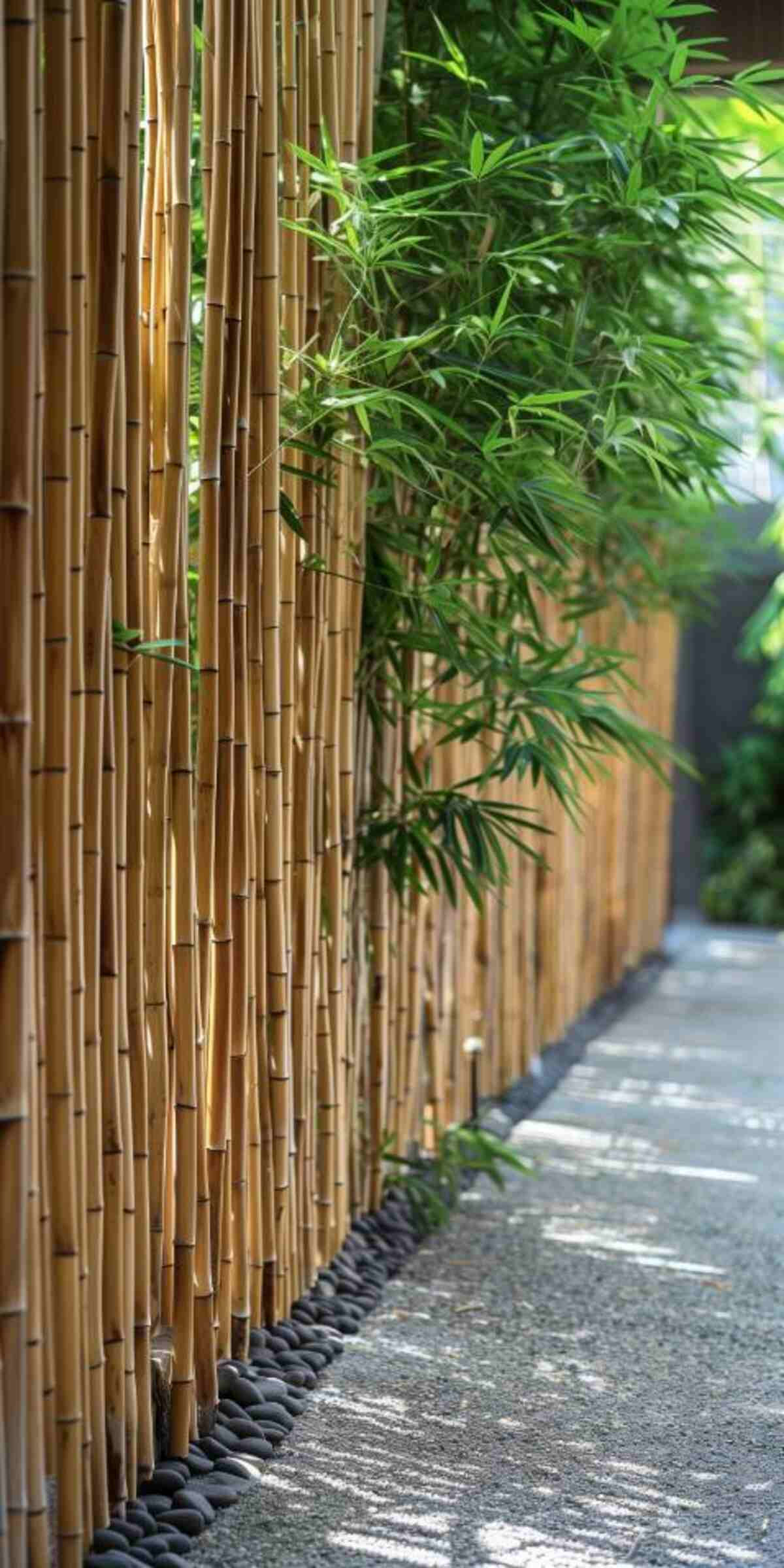 40 Tall Privacy Fence Ideas for Maximum Security