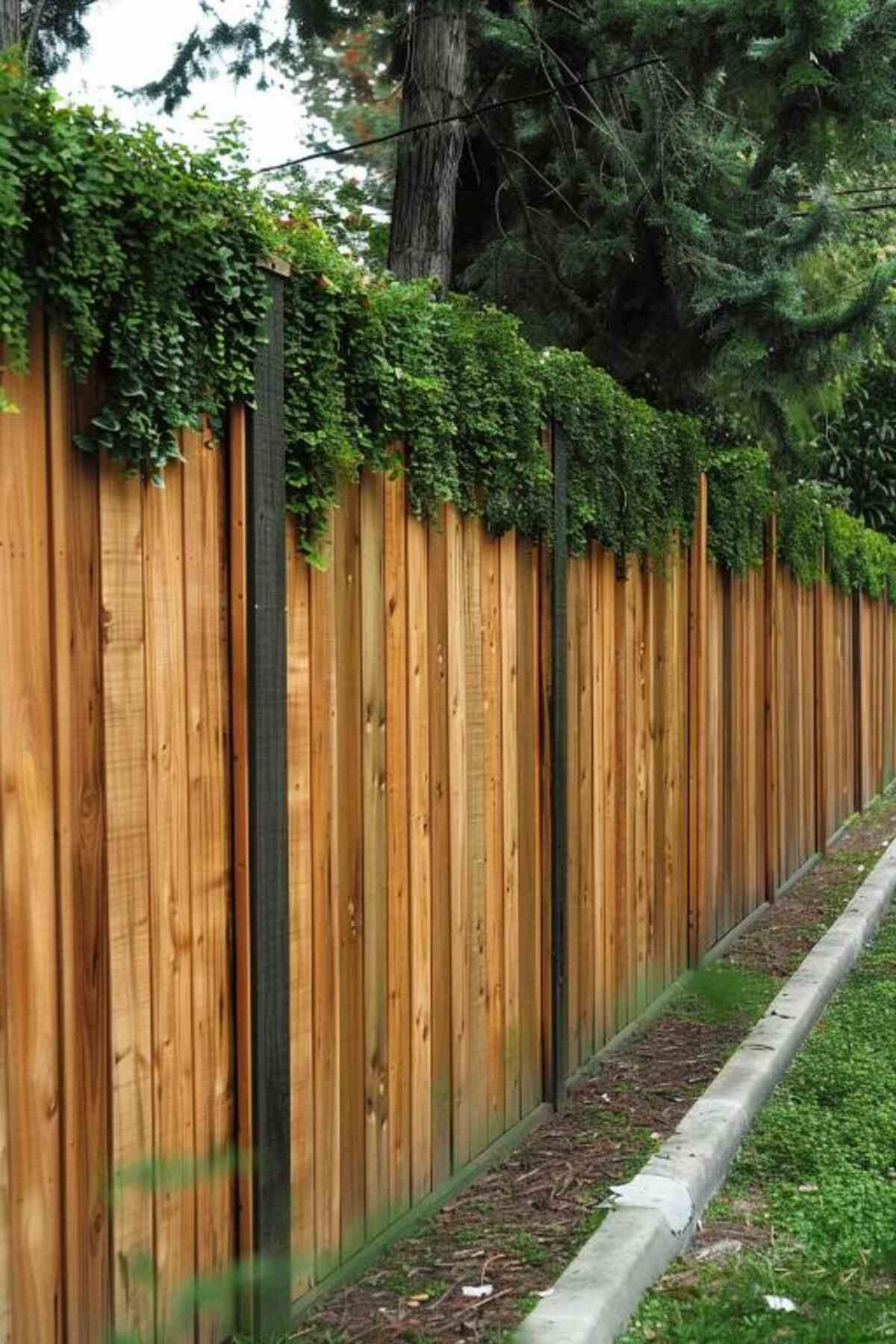 40 Amazing Privacy Fence Ideas for Your Garden