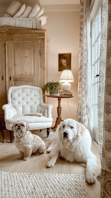 Liz Marie – Cozy Cottage Style on Instagram: “So many reasons to be happy. This …