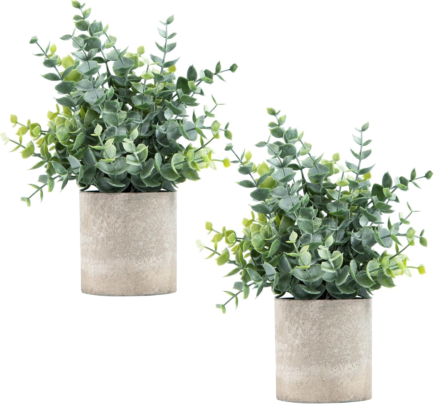 🏠 Today’s Farmhouse Décor Find: Eucalyptus Potted Plants