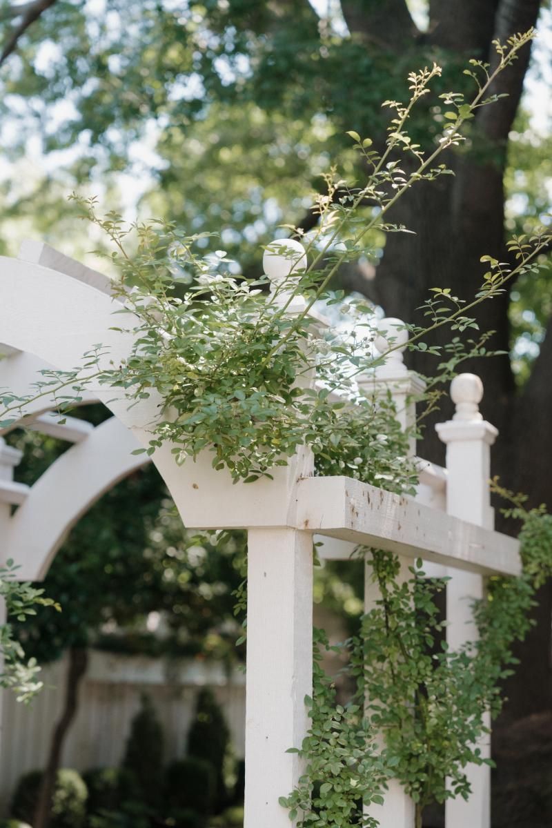 Garden Tips from a Master Gardener with a Historic Mckinney Home Outdoor Tour with the McCabes – FHL Design | Rockwall, Texas Interior Design
