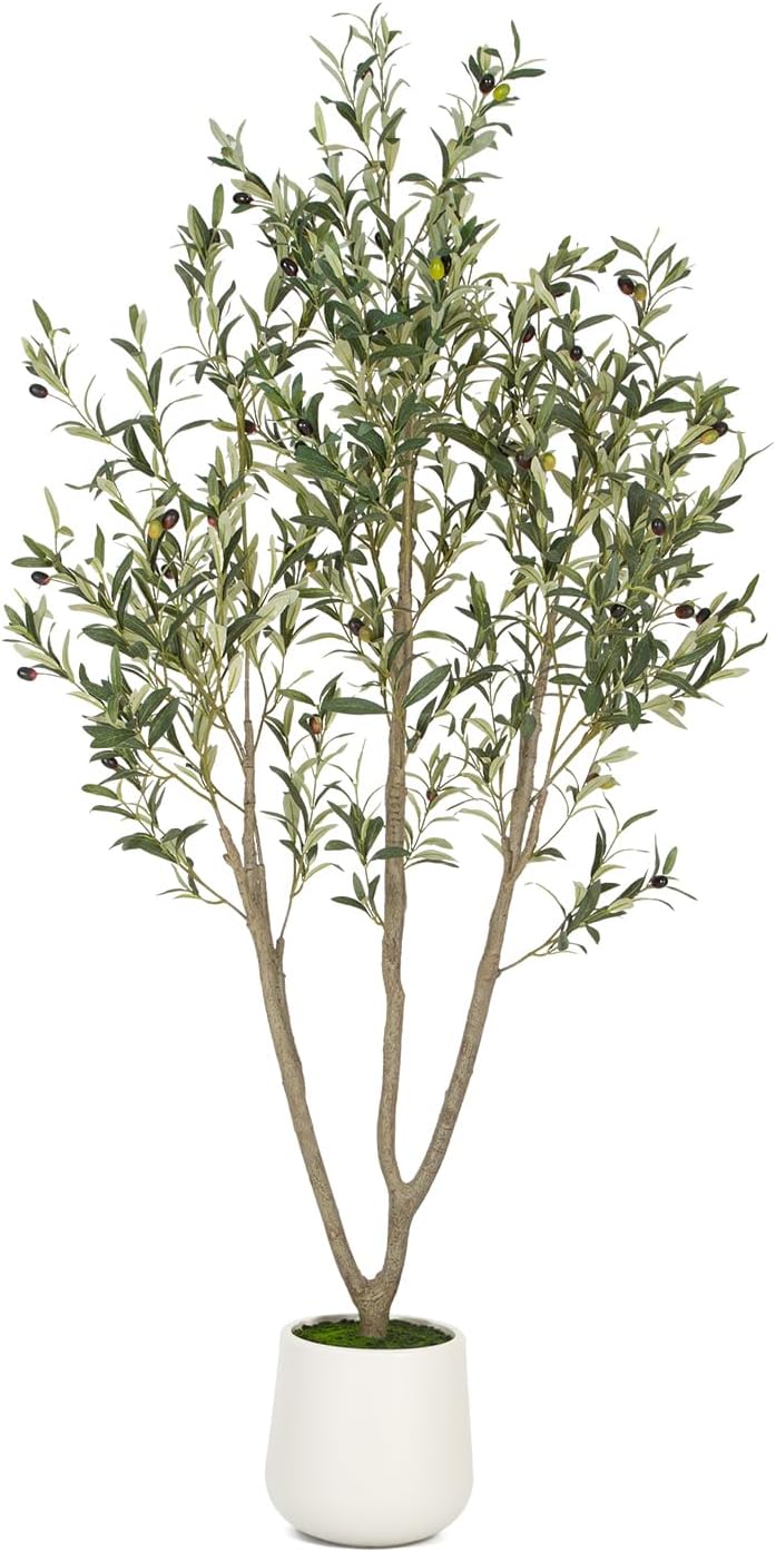 🏠 Today’s Farmhouse Décor Find: Olive Tree Decor