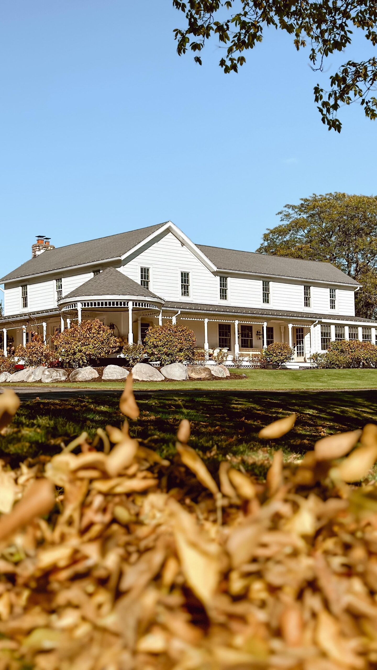 Vintage Panoramic Photo Gallery Wall – The Beginning