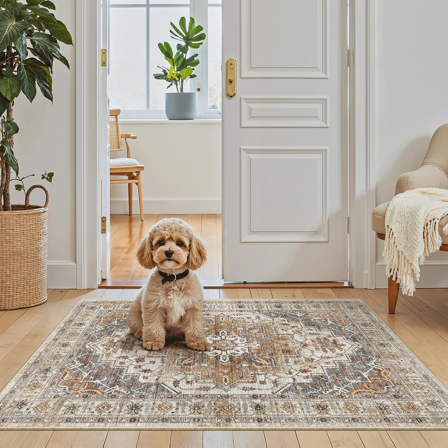 🏠 Today’s Farmhouse Décor Find: Vintage Door Mat